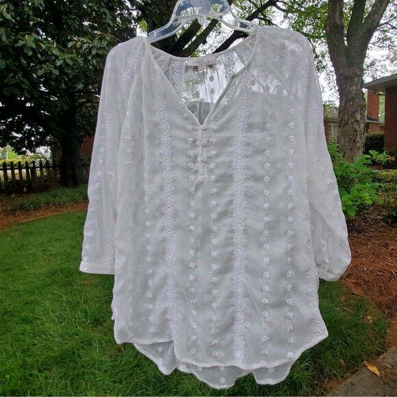 Sheer Embroidered Top M Popover 3/4 Sleeve Gauzy Boho Fairy Etherial Coverup - Picture 11 of 16